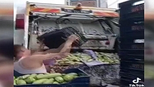 Kasalarca sebzeyi çöpe attı, soruşturma başlatıldı