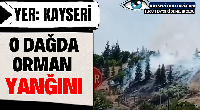 Kayseri'de ki O Dağın Ormanlık Alanında Yangın