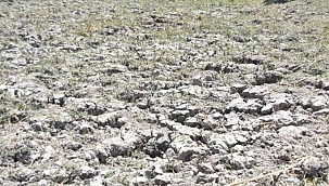 KAYSERİ'DE KURAKLIK NEDENİYLE YAY GÖLÜ KURUDU