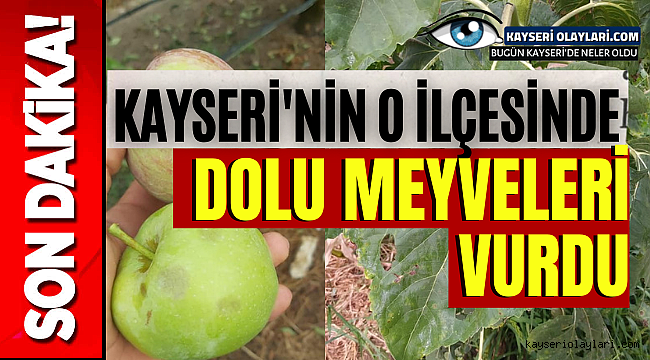 Kayseri'nin O İlçesinde Dolu Meyveleri Vurdu!