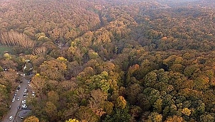 Kırşehir'de de ormanlık alanlara girişler yasaklandı