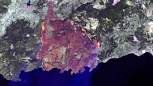 Manavgat, Marmaris ve Milas yangınlarının uydu görüntüsü yayınlandı