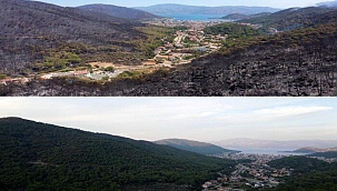 Marmaris'teki yangın felaketinin boyutunu gözler önüne seren görüntüler