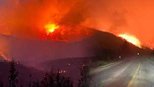 Milas'taki yangın Bodrum'a sıçradı! Vatandaşlar teknelerle tahliye edildi