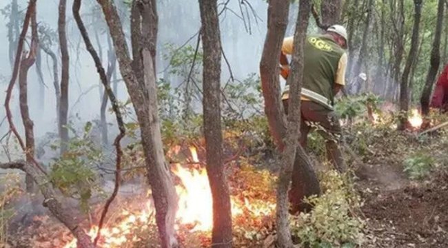 Orman Genel Müdürlüğü açıkladı: Yurt genelindeki orman yangınlarının 6'sı kontrol altında
