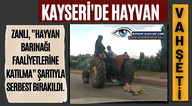 Sen Nasıl Bir Vicdansızsın ! Kayseri'de Vahşet 