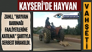 Sen Nasıl Bir Vicdansızsın ! Kayseri'de Vahşet 