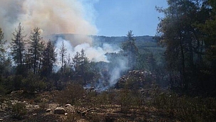 Son dakika: Burdur, Manavgat, Kaş ve Köyceğiz'de orman yangını