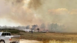 Son Dakika: Manavgat'ta orman yangını