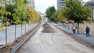 Talas Bilge Kağan'da hummalı çalışma