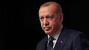 Cumhurbaşkanı Erdoğan, Özbekistan Cumhurbaşkanı Mirziyoyev ile telefonda görüştü