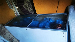 Halı yıkama dükkanında yapılanlar şoke etti! Kireçlenerek çukura gömüldüler