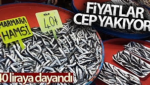 Hamsinin fiyatı 40 liraya dayandı