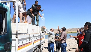 Kayseri'de 13 göl ve gölete 678 bin yavru balık bırakıldı