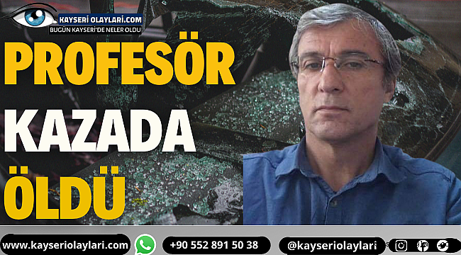 Profesör Kazada Öldü