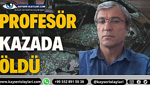 Profesör Kazada Öldü