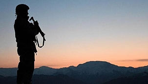 Son dakika haberi: İçişleri Bakanlığı: 5 terörist teslim oldu