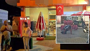 Markette dehşet! Eşini bıçakla öldürüp av tüfeğiyle intihara kalkıştı