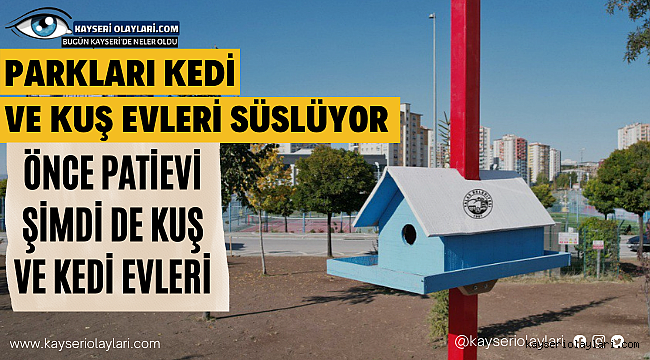 Önce Patievi Şimdi Kedi ve Kuş Evi