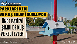 Önce Patievi Şimdi Kedi ve Kuş Evi