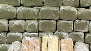 Uyuşturucu operasyonunda şaşırtan detay! Naneyle kamufle etmişler