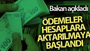 Bakan Pakdemirli: '13 milyon lirayı aşkın destek ödemesi hesaplara aktarılmaya başlandı'