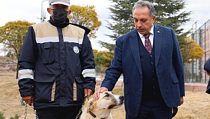 'Bulut' Yeniden Doğal Ortamında