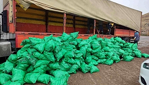 Büyükşehir Çevre Zabıtası, 12 Ton Kaçak Kömür Ele Geçirdi