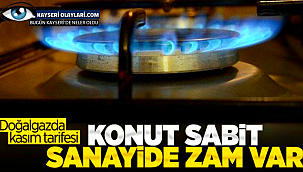 Doğalgazda kasım tarifesinde sanayi ve santrallere zam geldi Konuta Yok