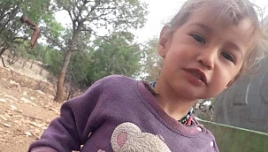 Ekipler, kaybolan 3 yaşındaki Müslüme'yi arıyor