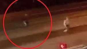 Karşı yola geçmek isterken ölüme gitti!