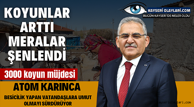Koyunlar Arttı, Meralar Şenlendi