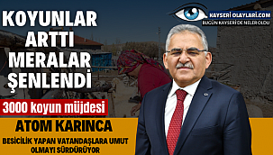 Koyunlar Arttı, Meralar Şenlendi