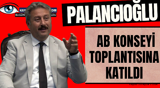 Palancıoğlu Avrupa Birliği Konseyi İle Görüştü