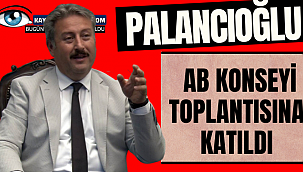 Palancıoğlu Avrupa Birliği Konseyi İle Görüştü