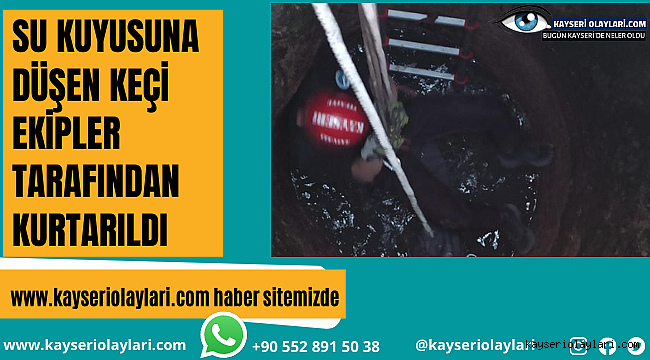 Su Kuyusuna Düşen Keçi Kurtarıldı