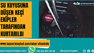 Su Kuyusuna Düşen Keçi Kurtarıldı