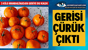 3 Kilo Mandalinadan Geriye Bu Kaldı