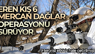 9 terörist etkisiz hale getirilmişti: Tunceli'de Eren Kış 6 Mercan Dağlar Operasyonu sürüyor