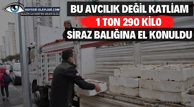 Bu Avcılık Değil Katliam