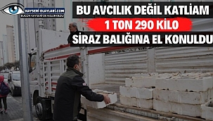 Bu Avcılık Değil Katliam