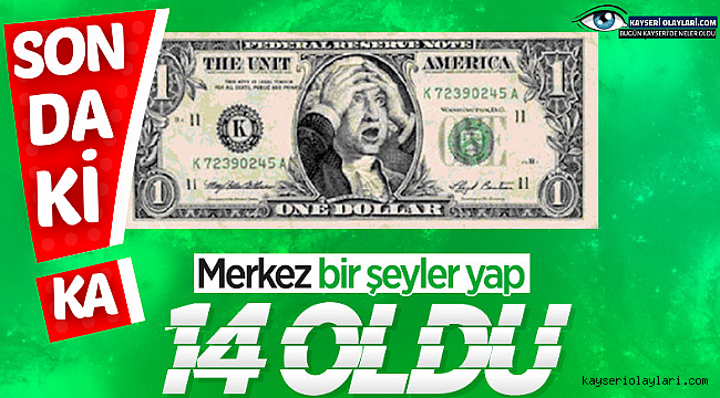 Dolar 14 liranın üzerine çıktı