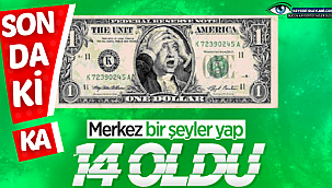 Dolar 14 liranın üzerine çıktı