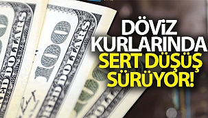 Dolar ne kadar oldu? Döviz kurlarında son durum!