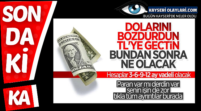 Dövize endeksli TL mevduat düzenlemesinin ayrıntıları açıklandı