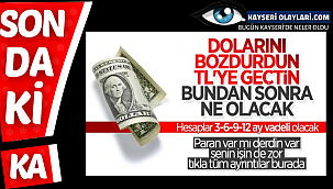 Dövize endeksli TL mevduat düzenlemesinin ayrıntıları açıklandı