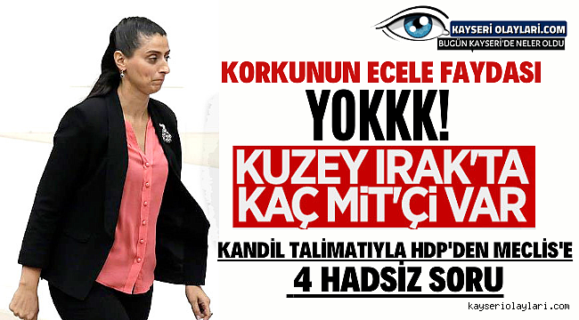 Kandil Talimatıyla Hdp'den Meclis'e 4 Hadsiz Soru 