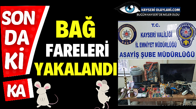 Kayseri'de Bağ Evi Fareleri Yakalandı
