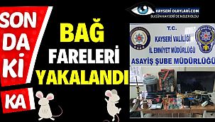 Kayseri'de Bağ Evi Fareleri Yakalandı
