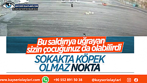 Kayseri'de başıboş köpekler, 9 yaşındaki çocuğa saldırdı
